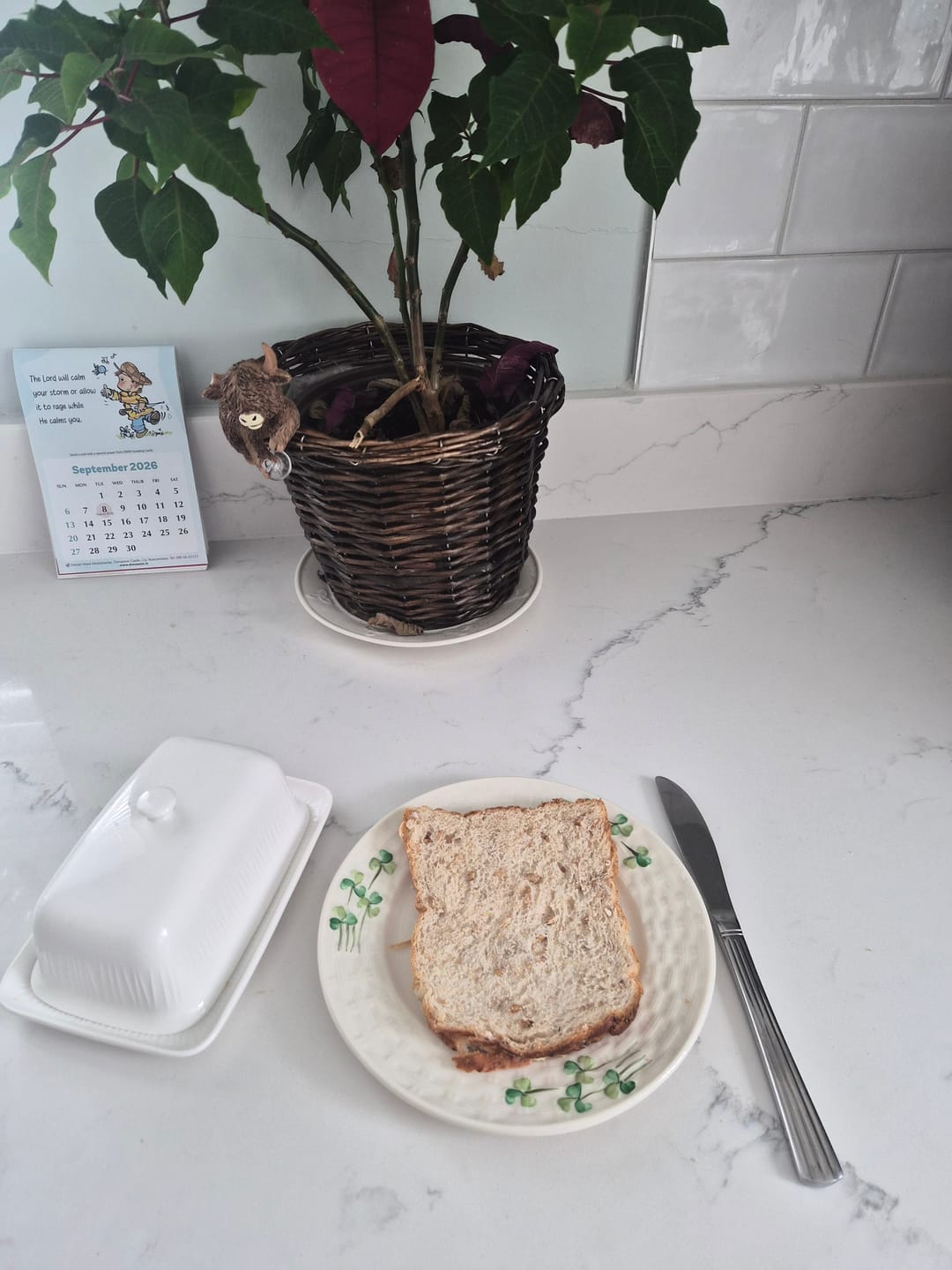 Customer photo review of Belleek Living Erne Butter Dish