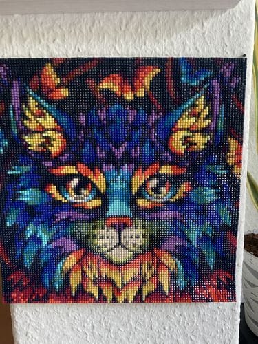 Customer photo review of Surprise Design | Mystery Diamond Painting Kit