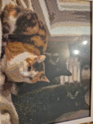 Customer photo review of Your Photo | Custom Photo Diamond Painting Kit