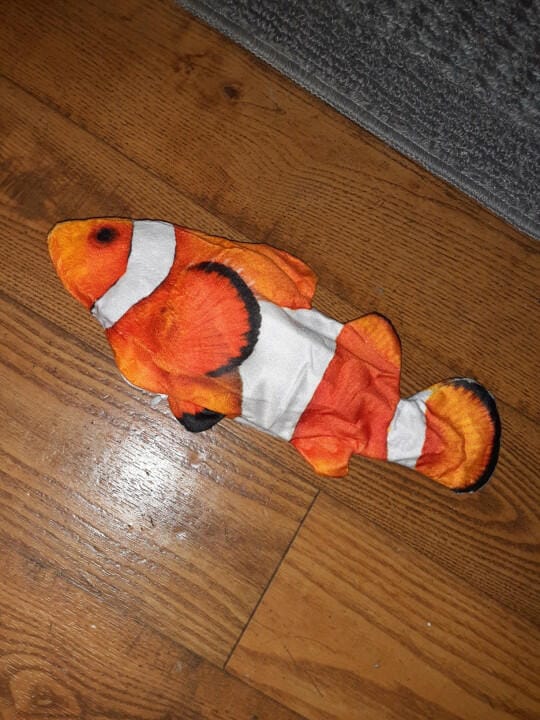 Customer photo review of Floppy Fish - Interactive Dog Toy