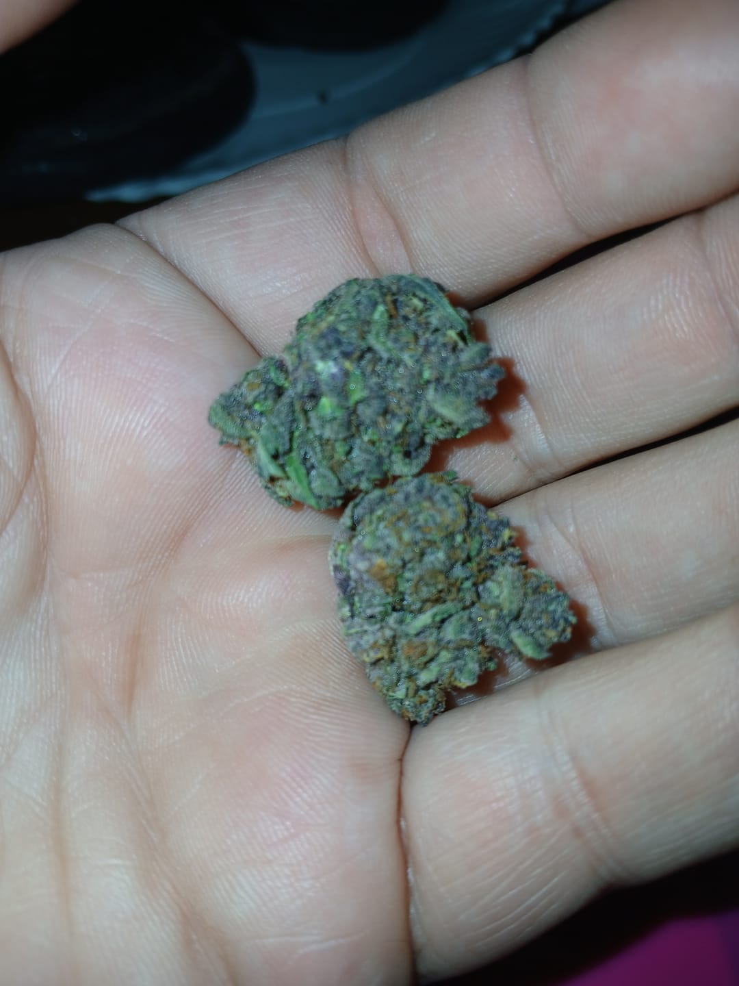 Customer photo review of Light Assist THCA Flower