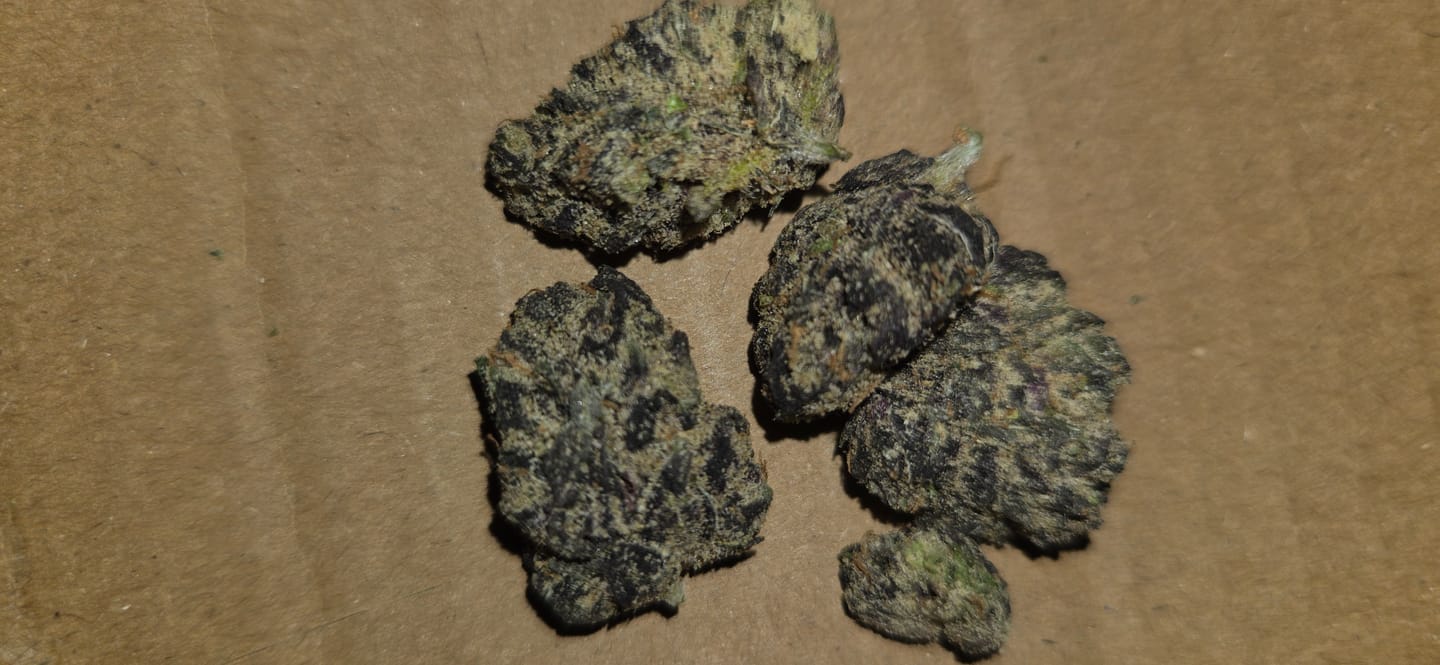 Customer photo review of Purple Trainwreck - Indoor - 4 Grams - Sativa