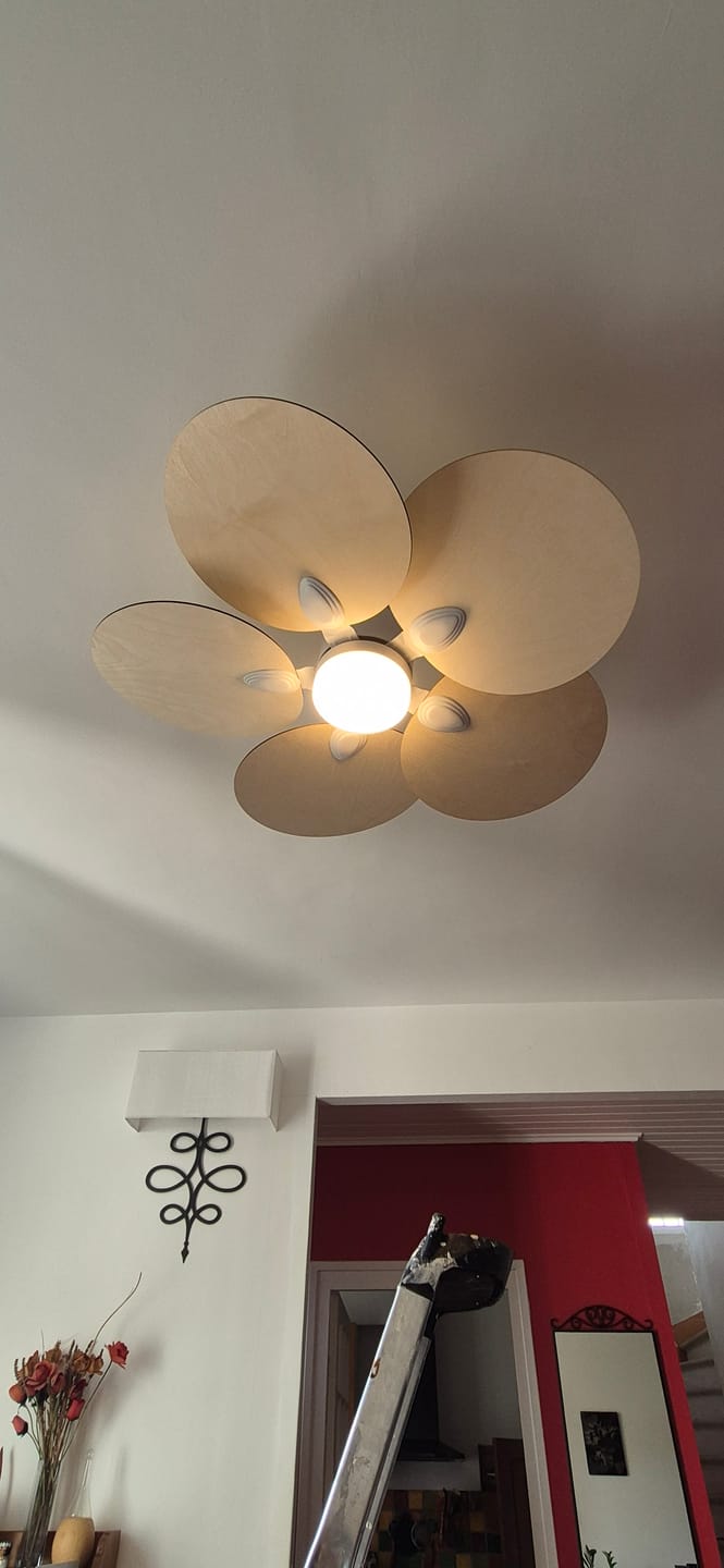 Customer photo review of Lotus | Ventilateur de plafond