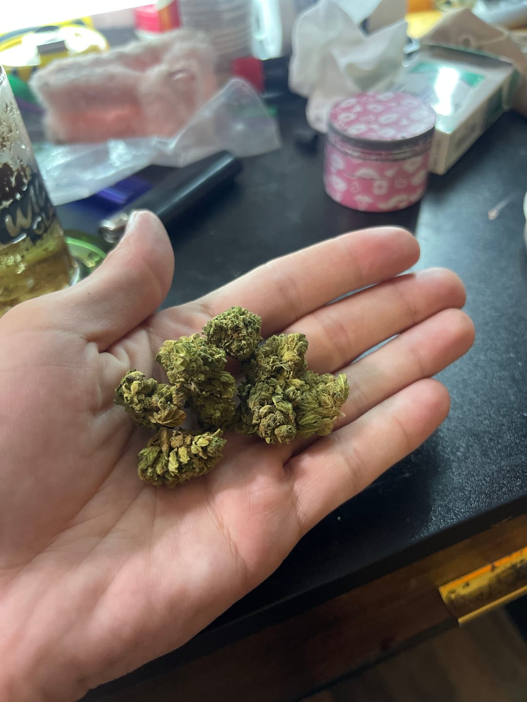 Customer photo review of Jungle Gelato - 28 Grams - Indica
