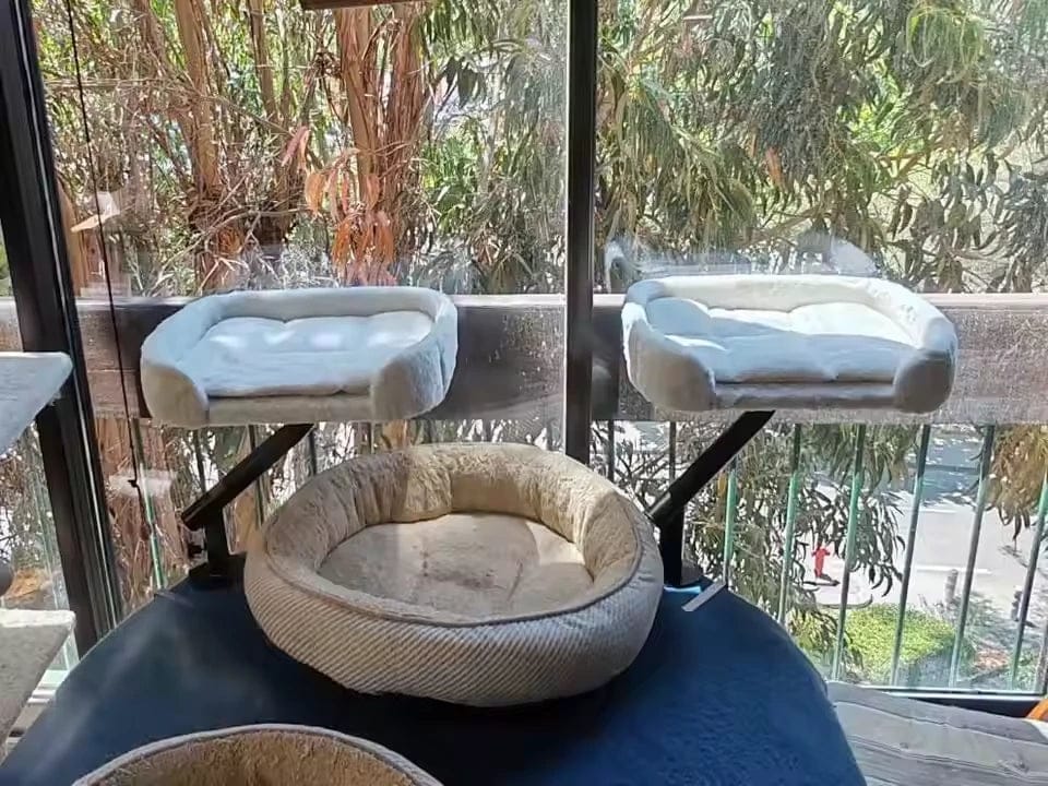 Customer photo review of Cat Desk Bed
