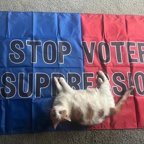 Customer photo review of Stop Voter Suppression Flag