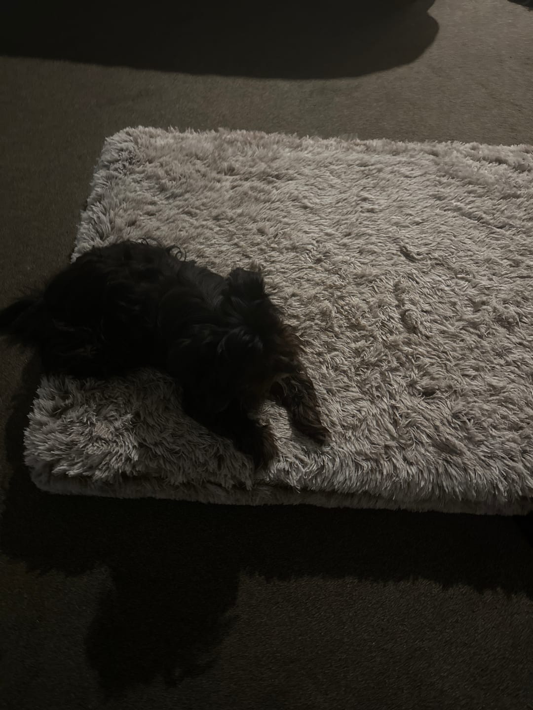 Customer photo review of Brooklyn® Ultra Memory Foam Bed