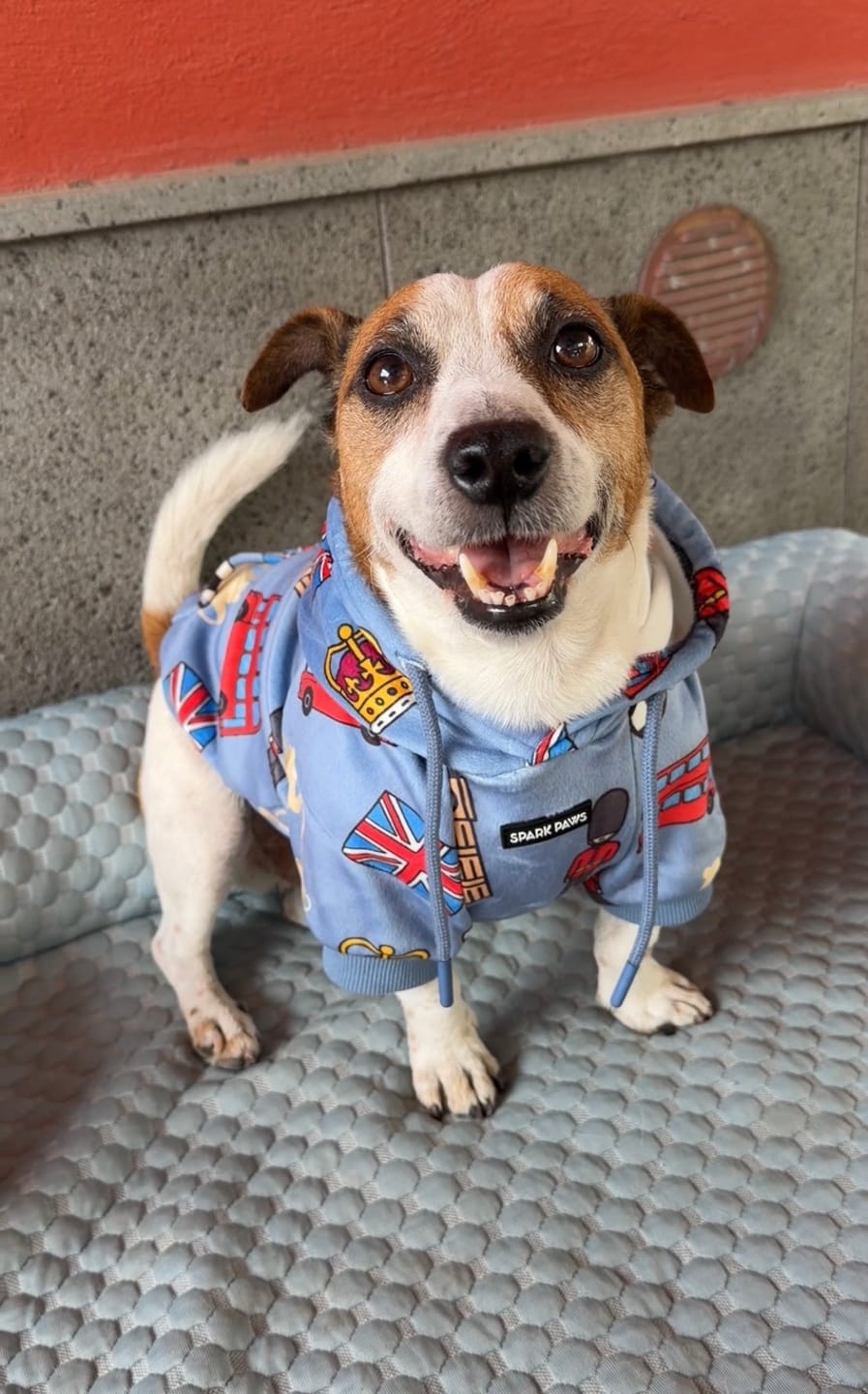 Customer photo review of The UK Dog Hoodie