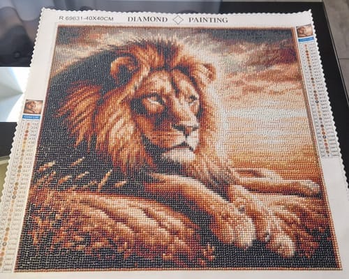 Customer photo review of Relaxed lion | Diamond Painting Kit