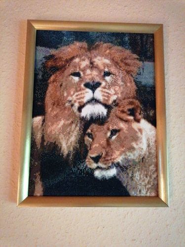 Customer photo review of Lion and lioness cuddling | Diamond Painting Kit