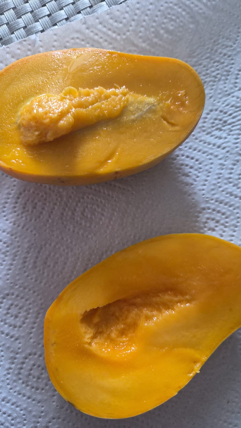 Customer photo review of Mango Honig „Ataulfo“ Bio von Julian