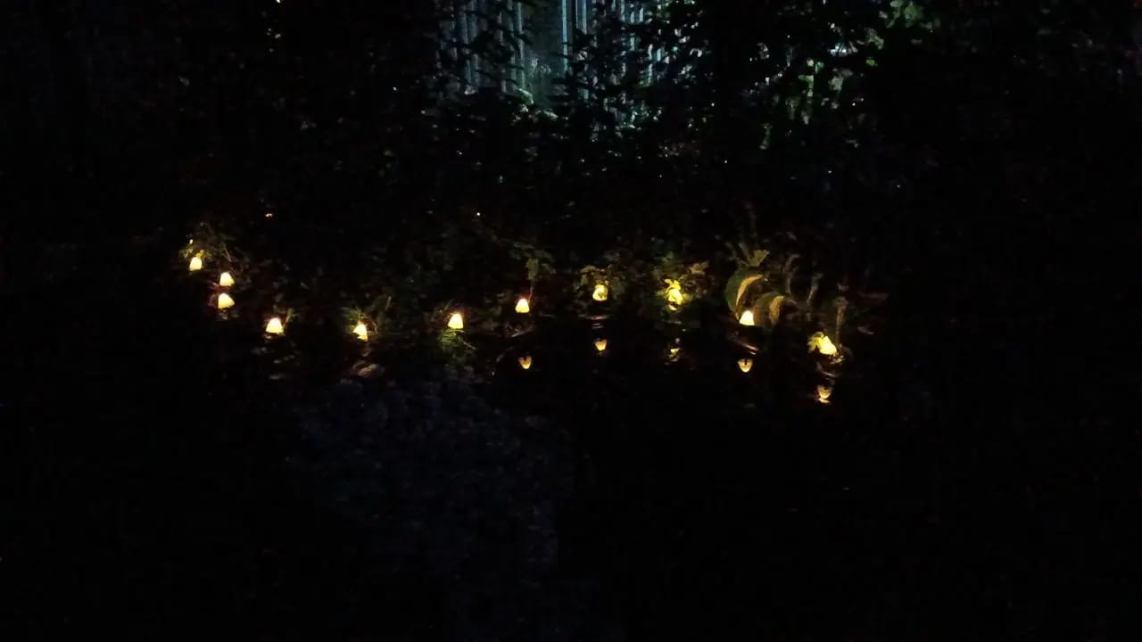 Customer photo review of Colourful String Lights for Garden, Solar Mushroom, 350 cm