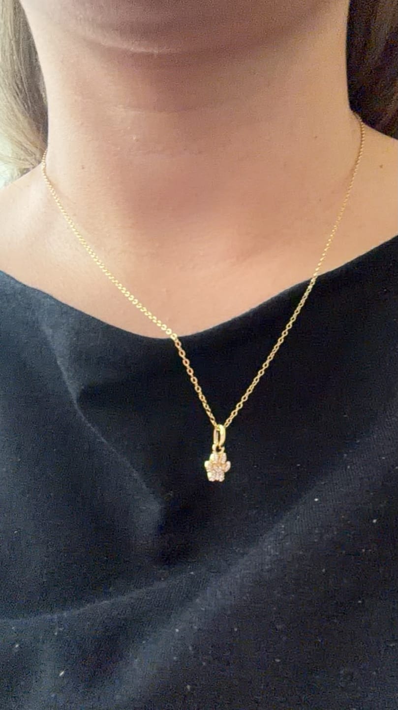 Customer photo review of Collar Dije Huella Zirconias