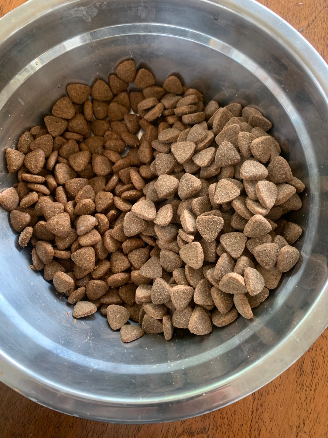 Customer photo review of Kuzulu Medium Maxi Yetişkin Köpek Maması 18 kg