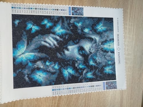 Customer photo review of Woman, blue butterflies | Diamond Painting Kit