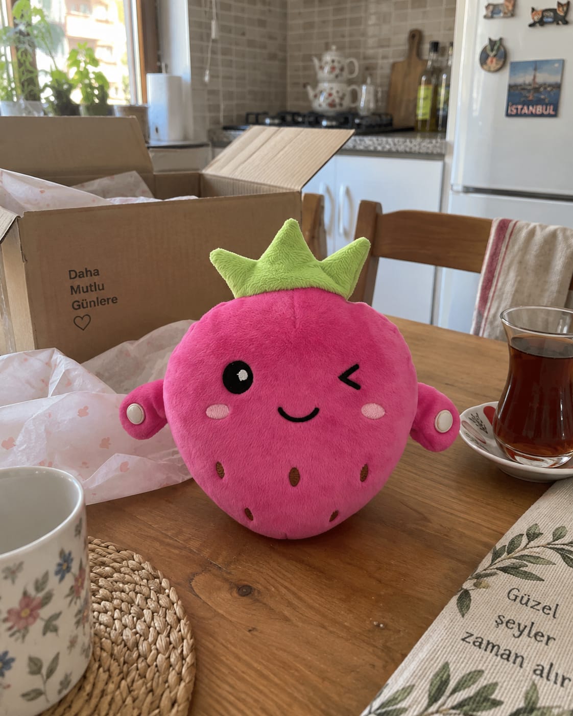 Customer photo review of Meyvelodi Müzikli Peluş