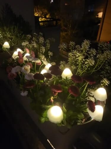 Customer photo review of Colourful String Lights for Garden, Solar Mushroom, 350 cm