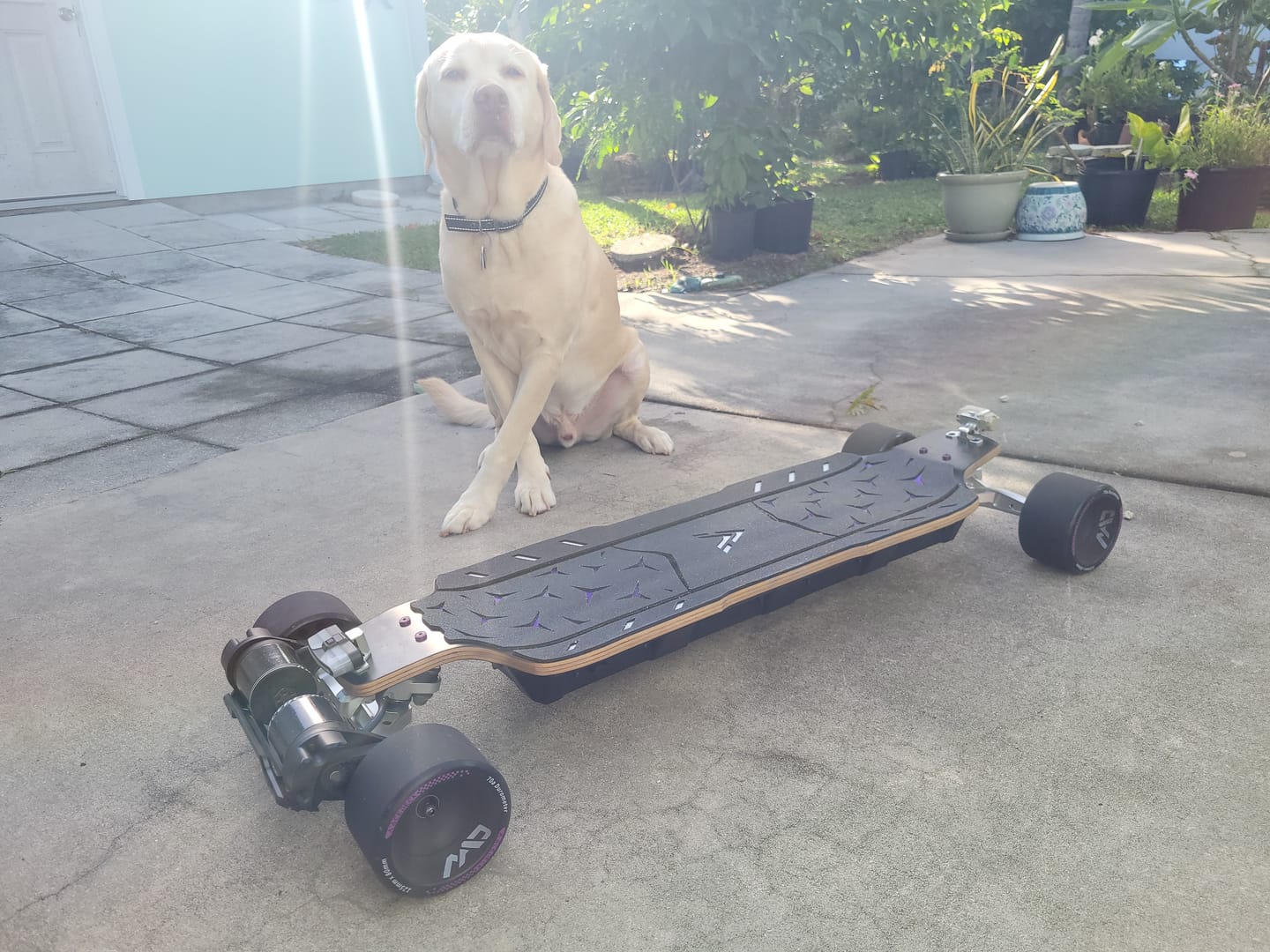 Customer photo review of Acedeck® Electric Skateboard Tail Light(CNC light bracket) - All boards