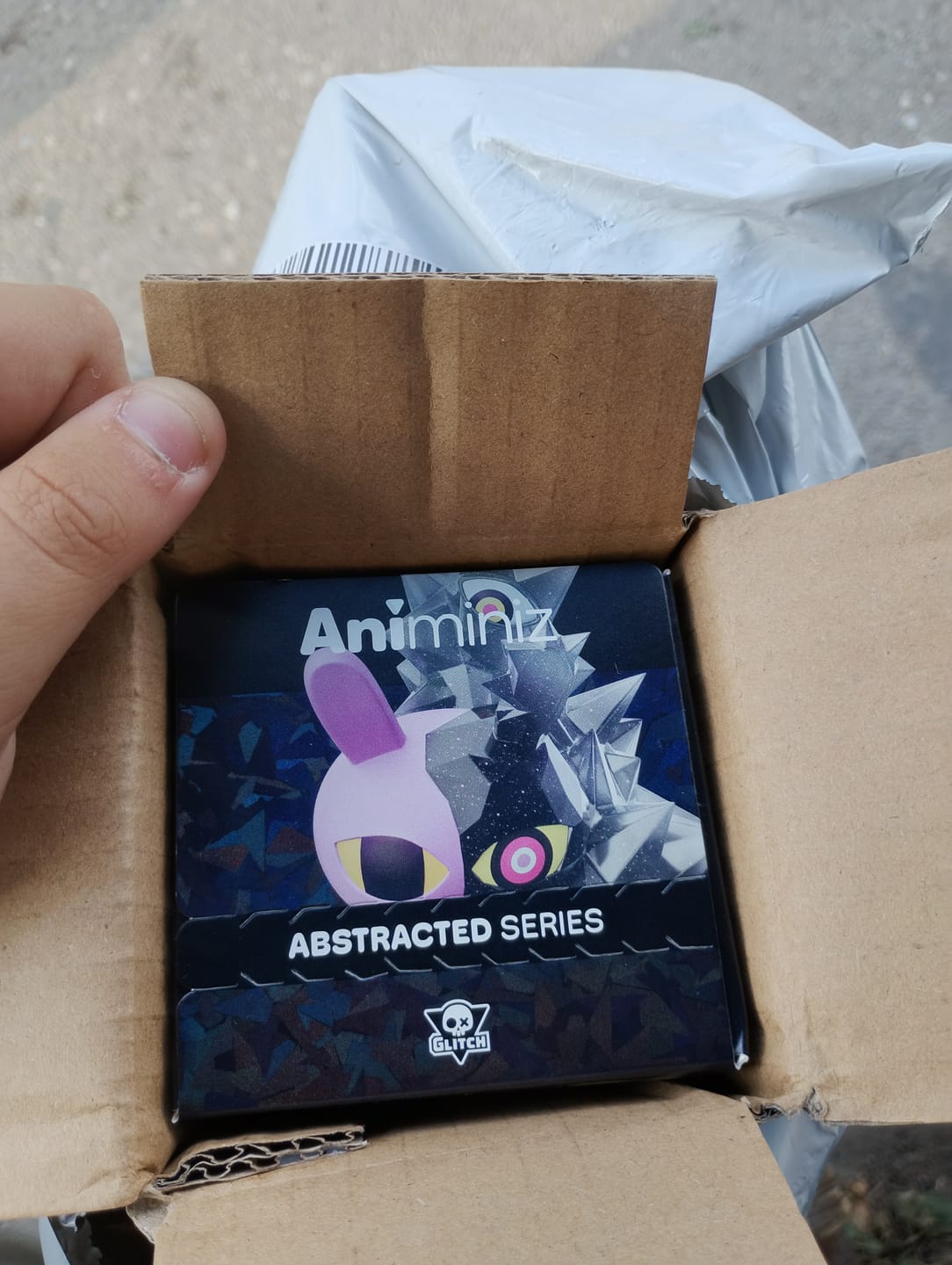 Customer photo review of Abstraction Animiniz Blindbox