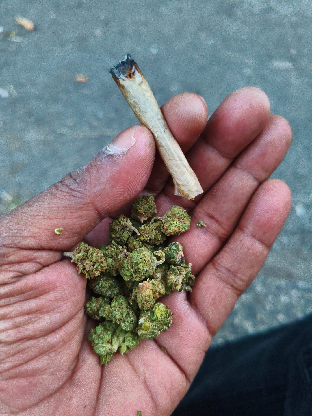 Customer photo review of Puffaroo - Triangle Kush - 28 Grams - Indica