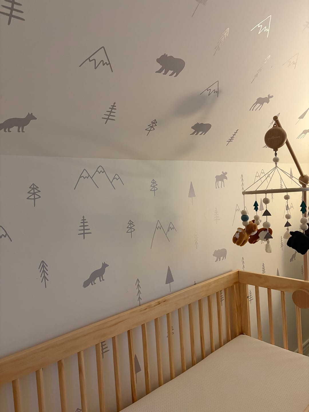 Customer photo review of Wilderness Wall Decals