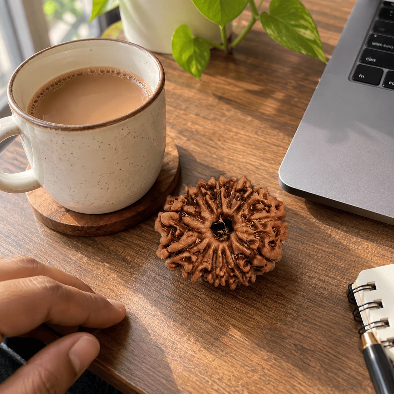 Customer photo review of 12 Mukhi Rudraksha (Nepali)