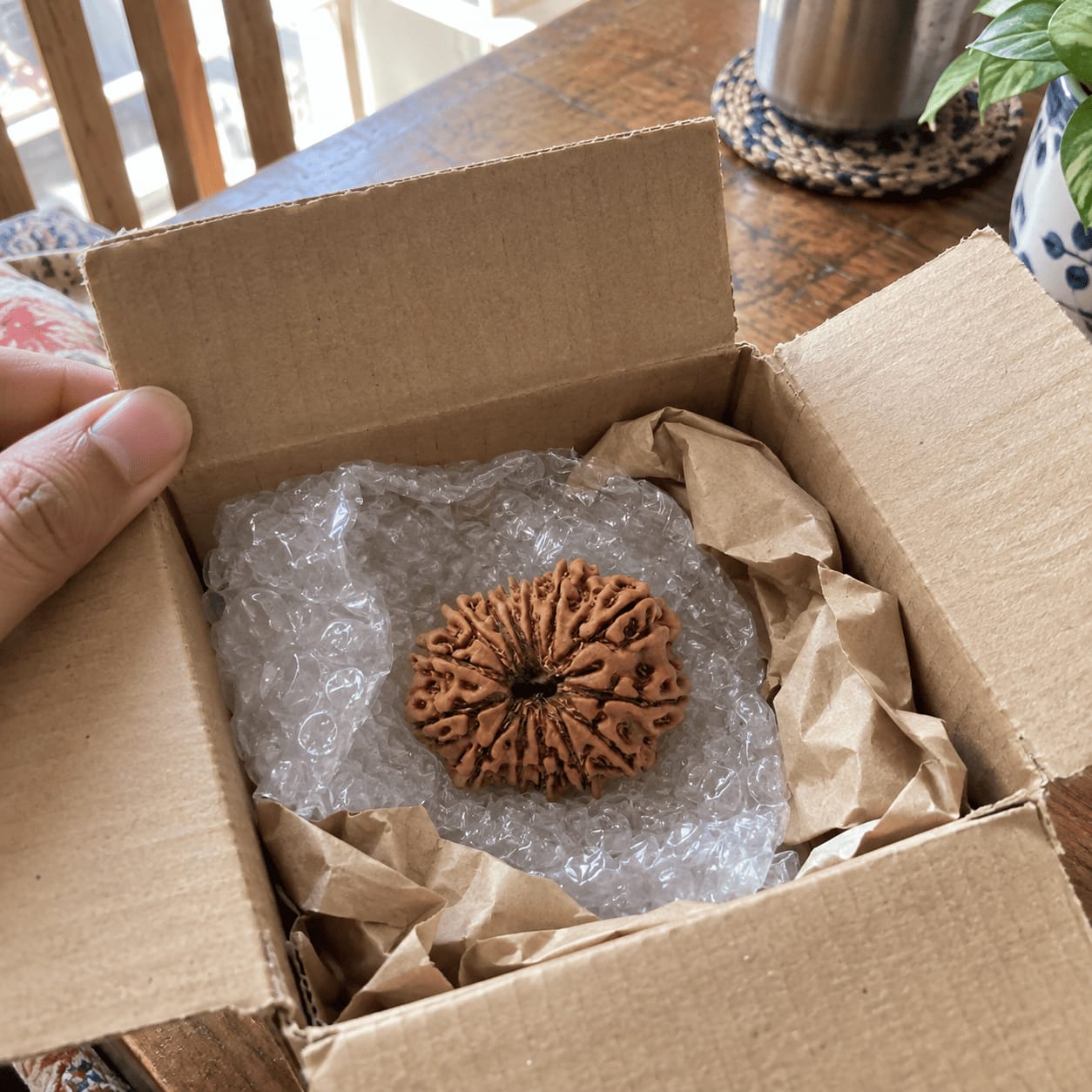 Customer photo review of 13 Mukhi Rudraksha (Nepali)