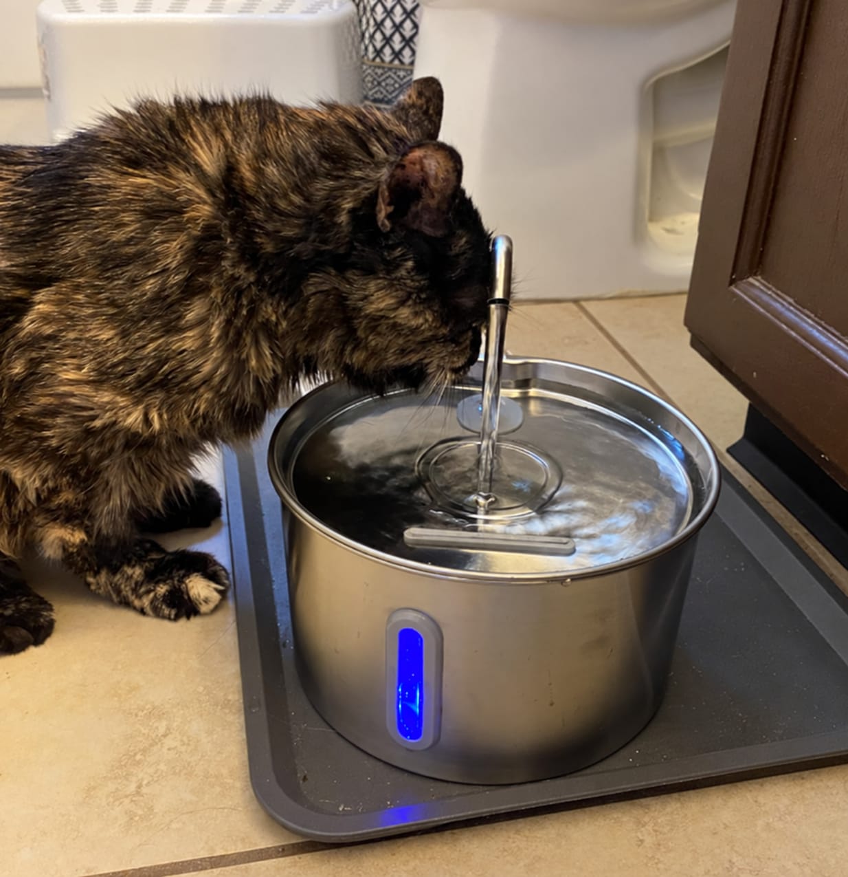 Customer photo review of IsaPet - Fuente de Agua Inalámbrica Mascotas 2.2L