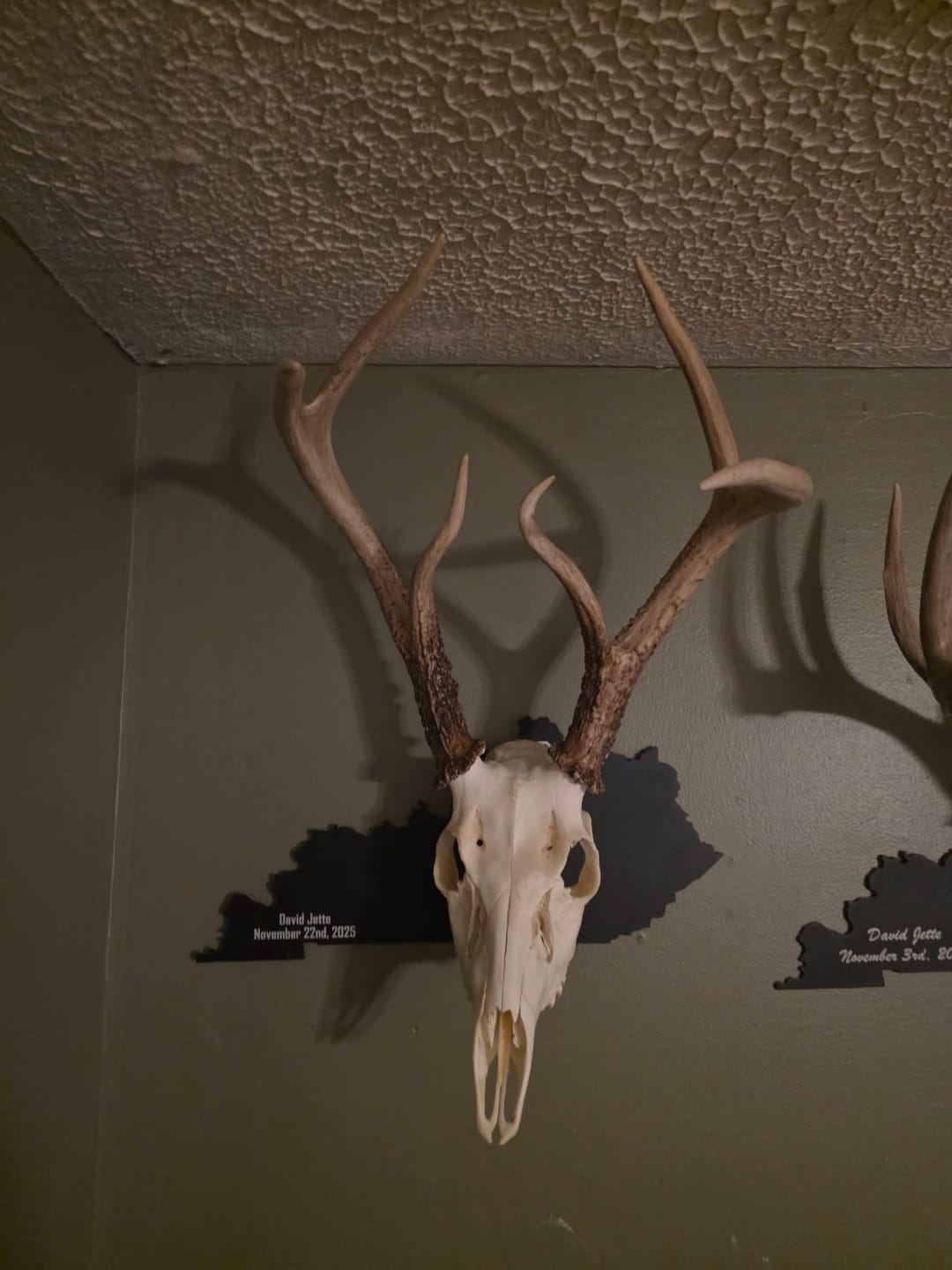 Customer photo review of Medium Game Plaque - Selections