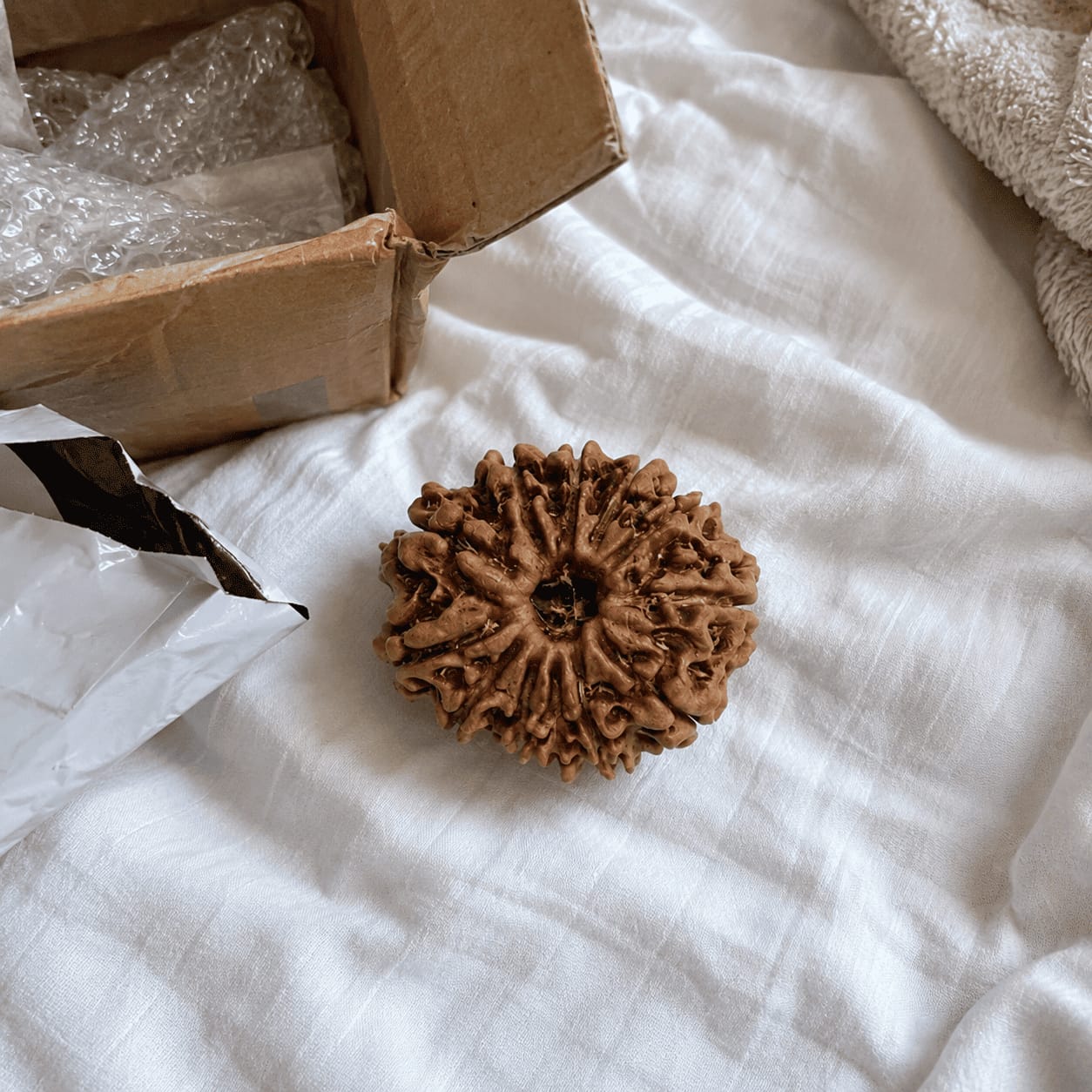 Customer photo review of 12 Mukhi Rudraksha (Nepali)