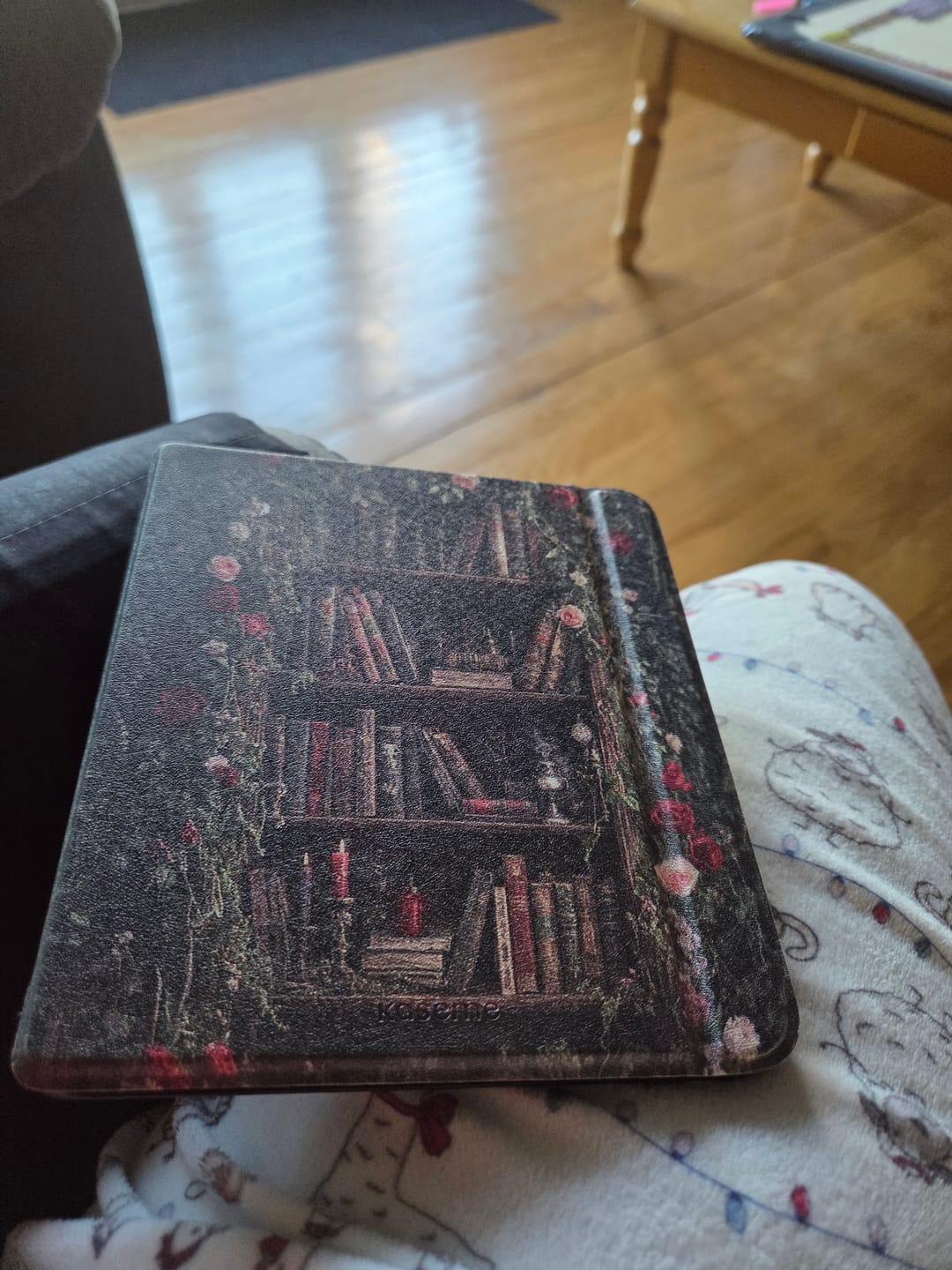 Customer photo review of Secret Chapters E-Reader Case