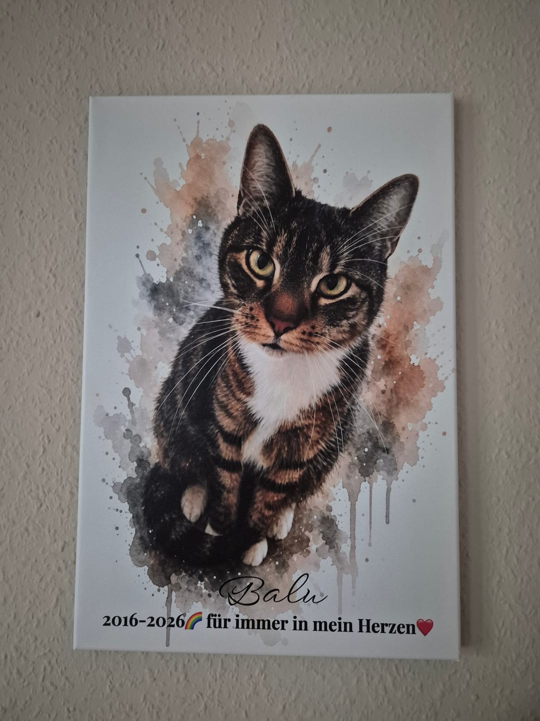 Customer photo review of Dein Haustier als Kunstwerk – mit Live-Vorschau, als Poster oder Leinwand