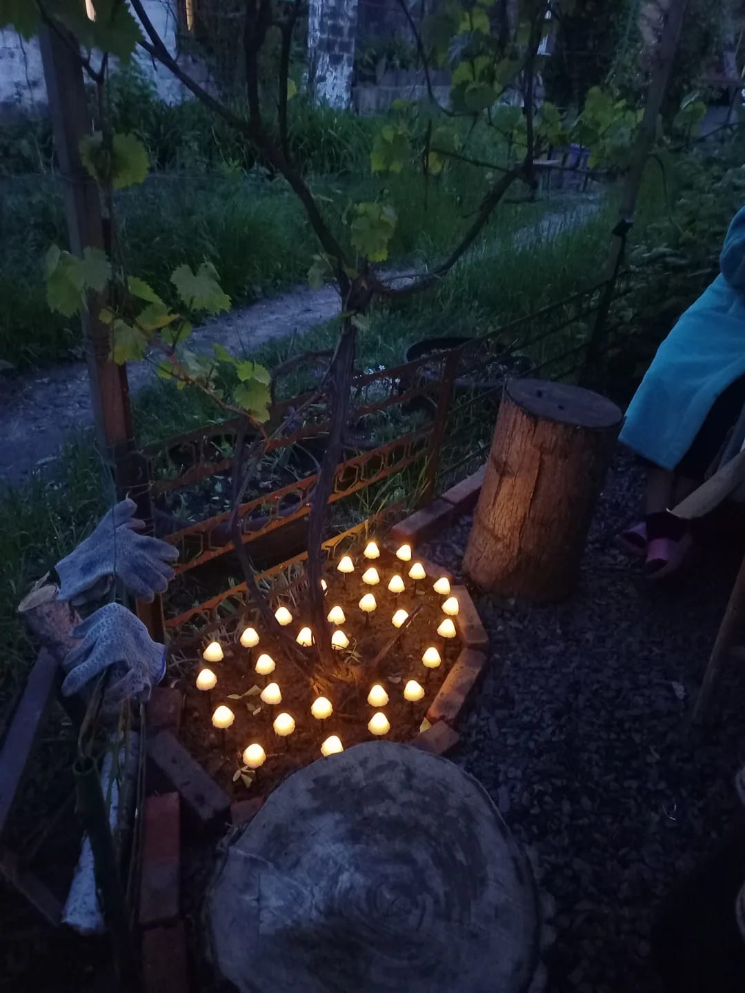 Customer photo review of Colourful String Lights for Garden, Solar Mushroom, 350 cm