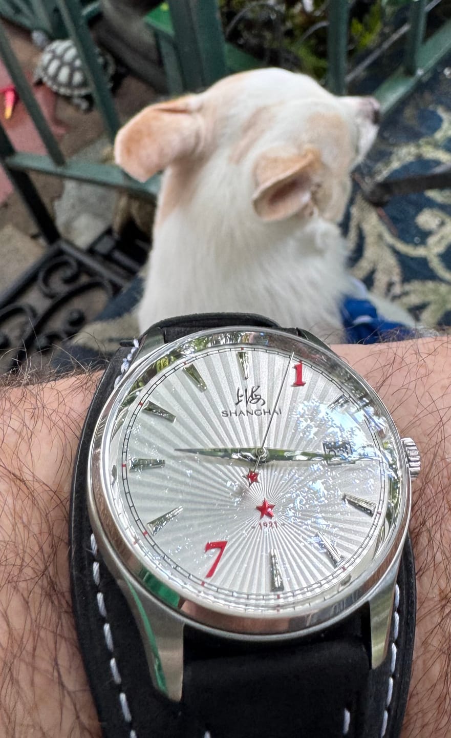 Customer photo review of 20mm Vintage Pilot Bund Leather Watch Strap