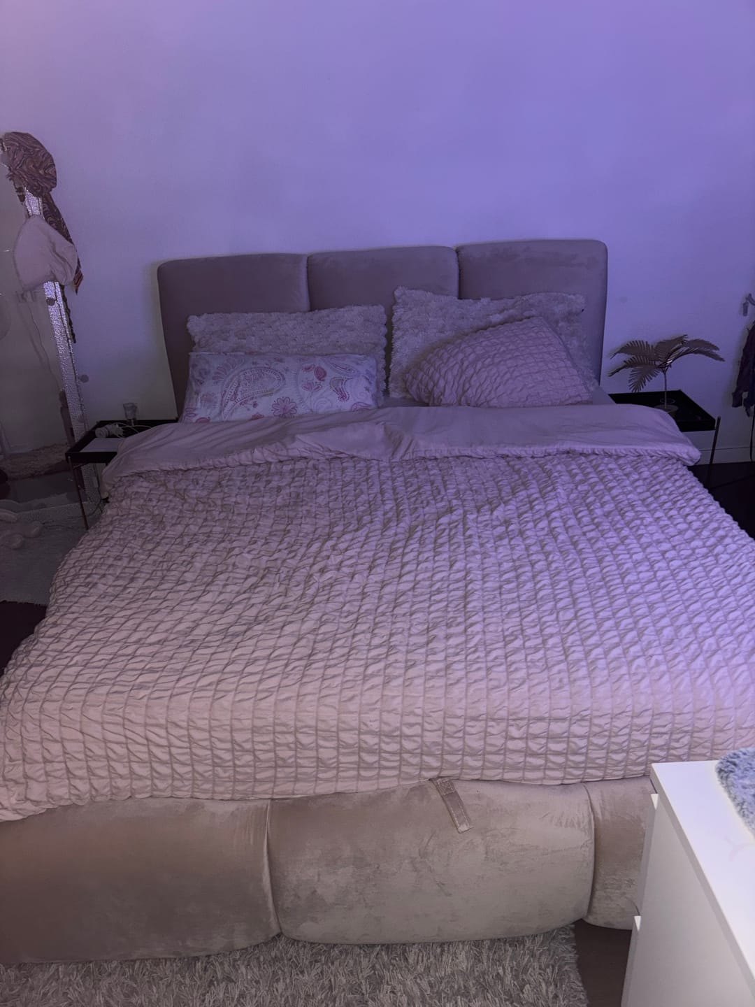Customer photo review of Lit rembourré avec coffre de rangement - SOPHIE