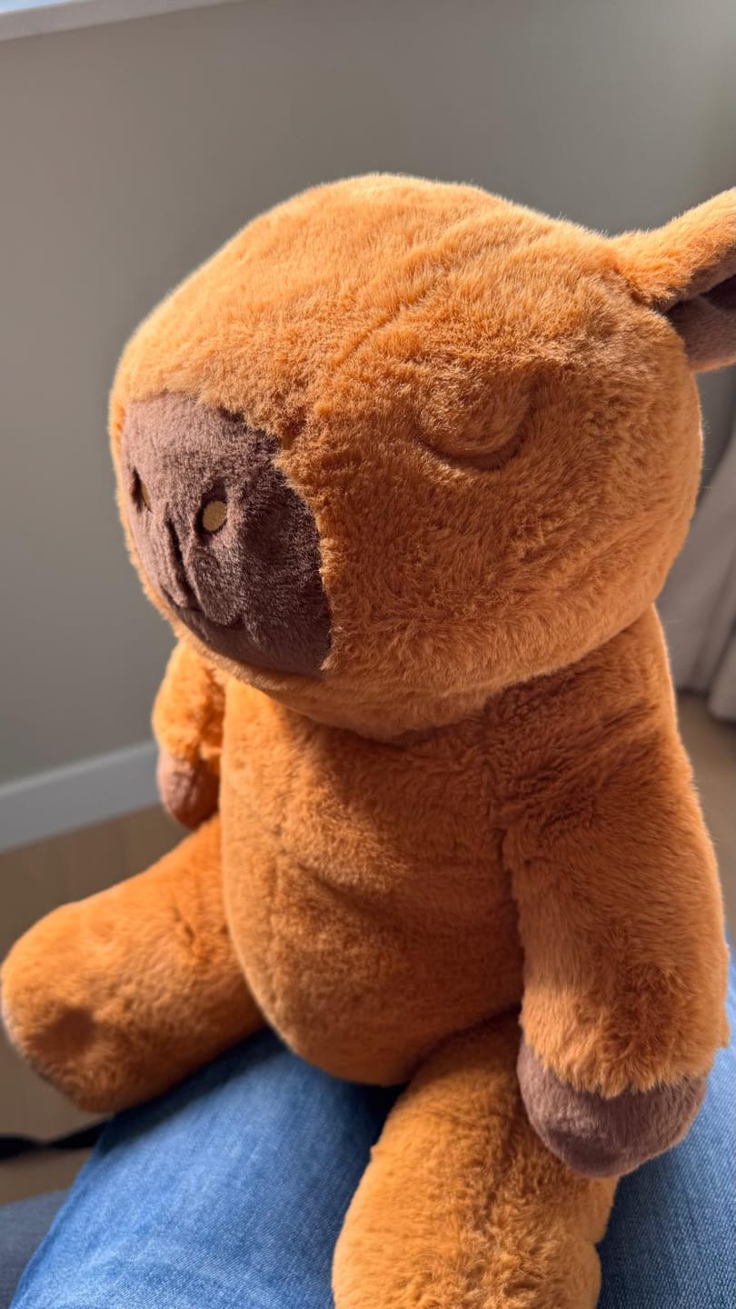 Customer photo review of Huggle Buddy Capybara Verzwaringsknuffel (2kg)