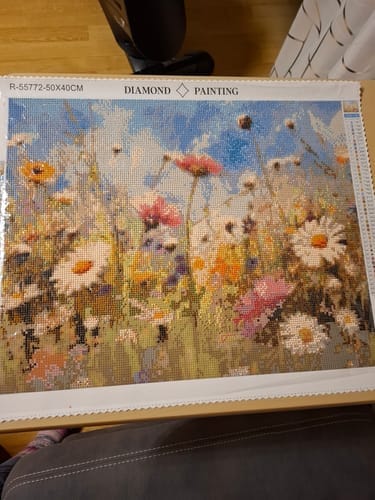 Customer photo review of Summer Meadow Dreams | Diamond Painting Kit