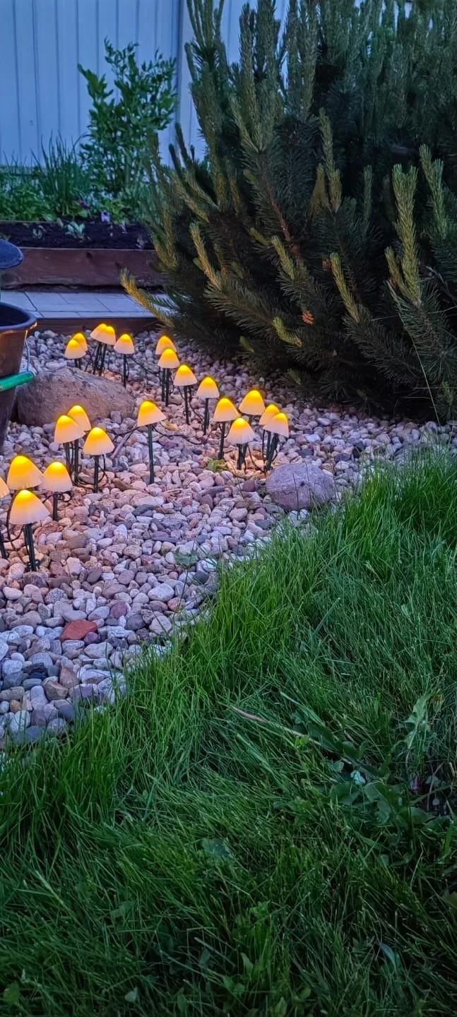 Customer photo review of Colourful String Lights for Garden, Solar Mushroom, 350 cm
