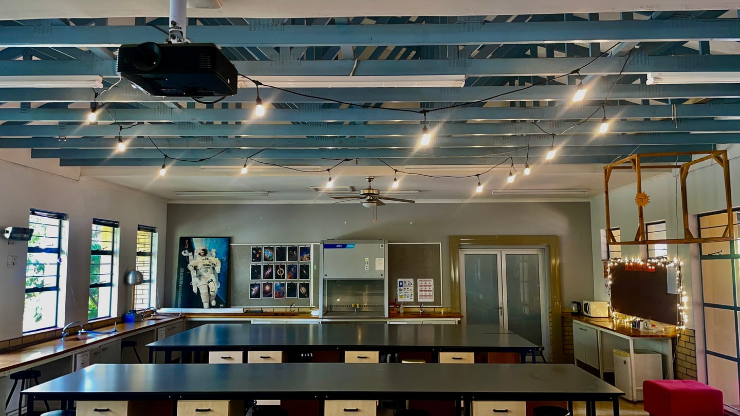 Customer photo review of Plug-In Festoon Bulb String Lights