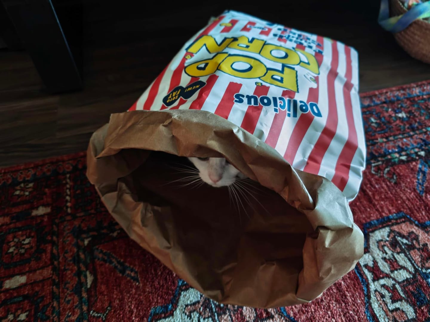Customer photo review of CrinkleCove™ Double-Layer Paper Cat Hideout