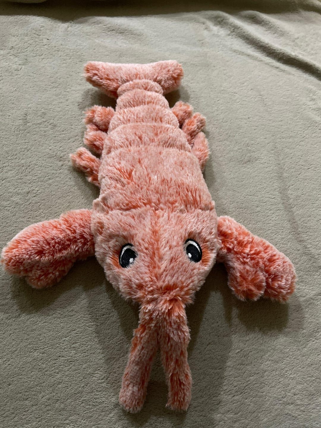Customer photo review of Floppy Lobster - Interactive Dog Toy
