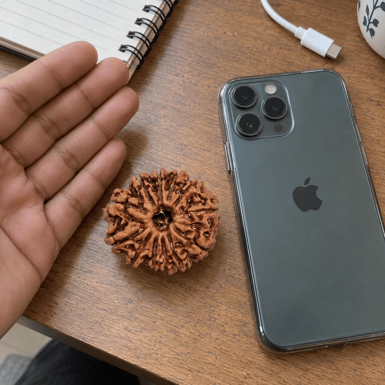 Customer photo review of 12 Mukhi Rudraksha (Nepali)