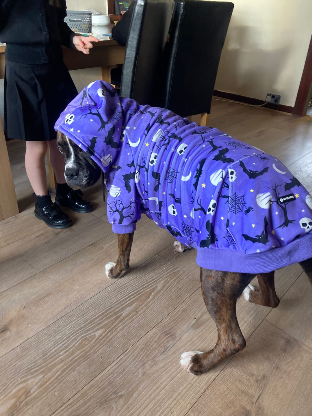 Customer photo review of Halloween Dog Hoodie - Purple