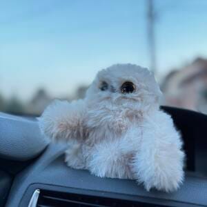 Customer photo review of Bolyhi – interaktív plüss, ami visszabeszél 🐾