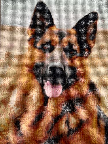 Customer photo review of Shepherd dog | Diamond Painting Kit