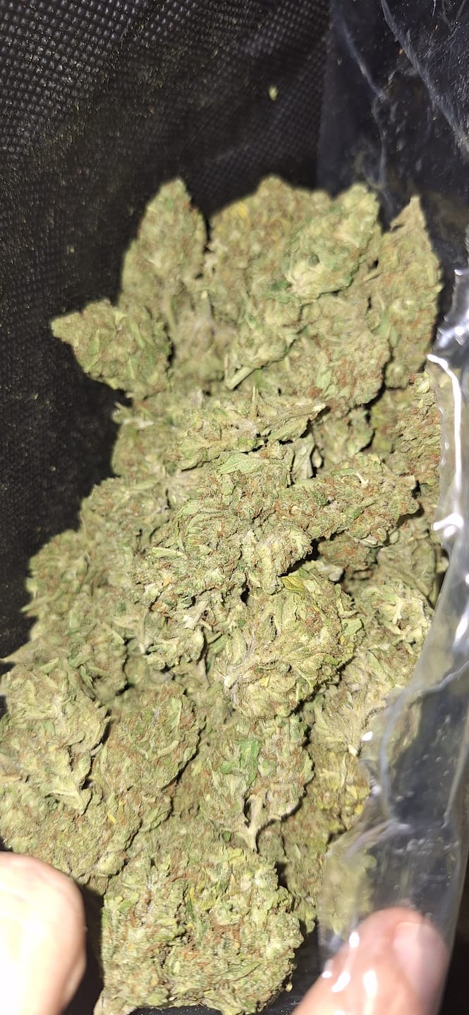 Customer photo review of Cheap THCA Flower Pound