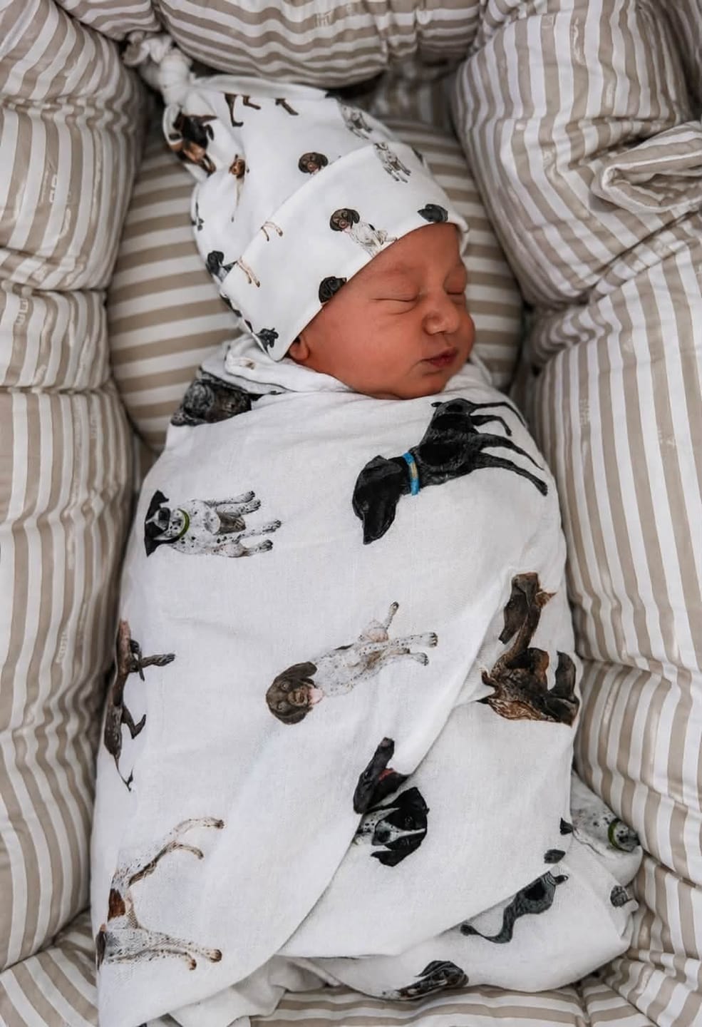 Customer photo review of German Shorthaired Pointers - Newborn Gown + Hat