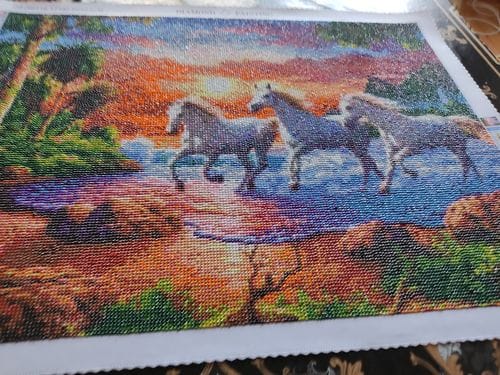 Customer photo review of White Horses at Sunset | Diamond Painting Kit