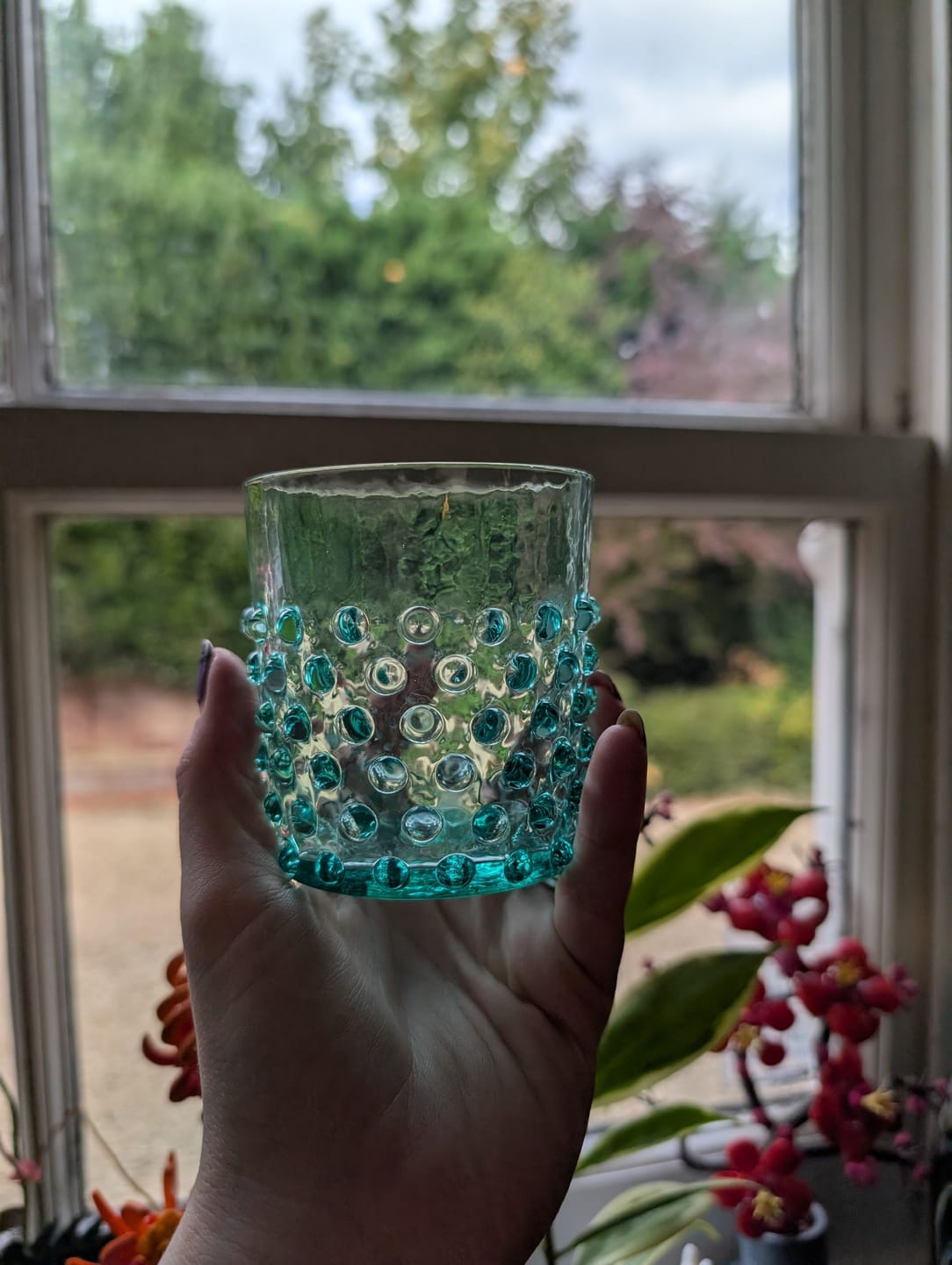 Customer photo review of Beryl Hobnail Whiskey Glasses