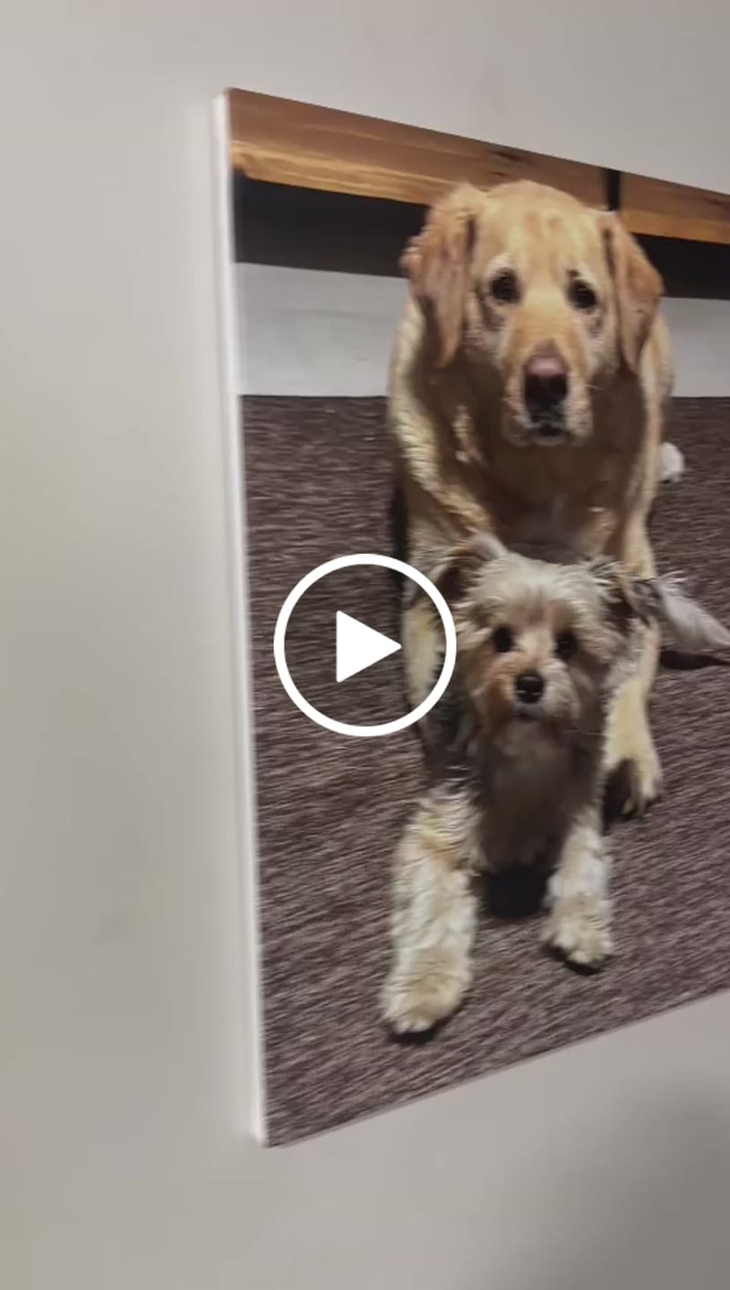 Customer video review of 3 x A2 Canvas Combo